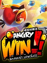 Angry Win